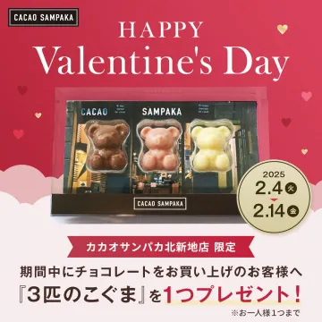 カカオサンパカ バレンタインキャンペーン 3匹のこぐまプレゼント