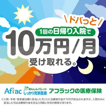 アフラック 医療保険 あんしんパレット