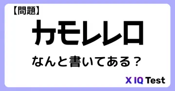 X IQ Test 謎解き問題