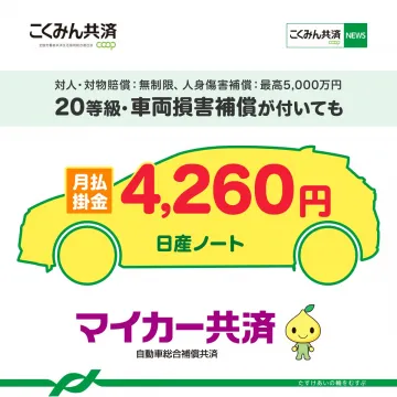 静電気除去ブレスレット COLANCOLAN