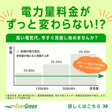 スマートゼロプラン（電気料金固定）