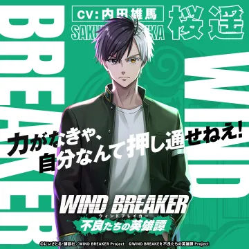 WIND BREAKER 不良たちの英雄譚