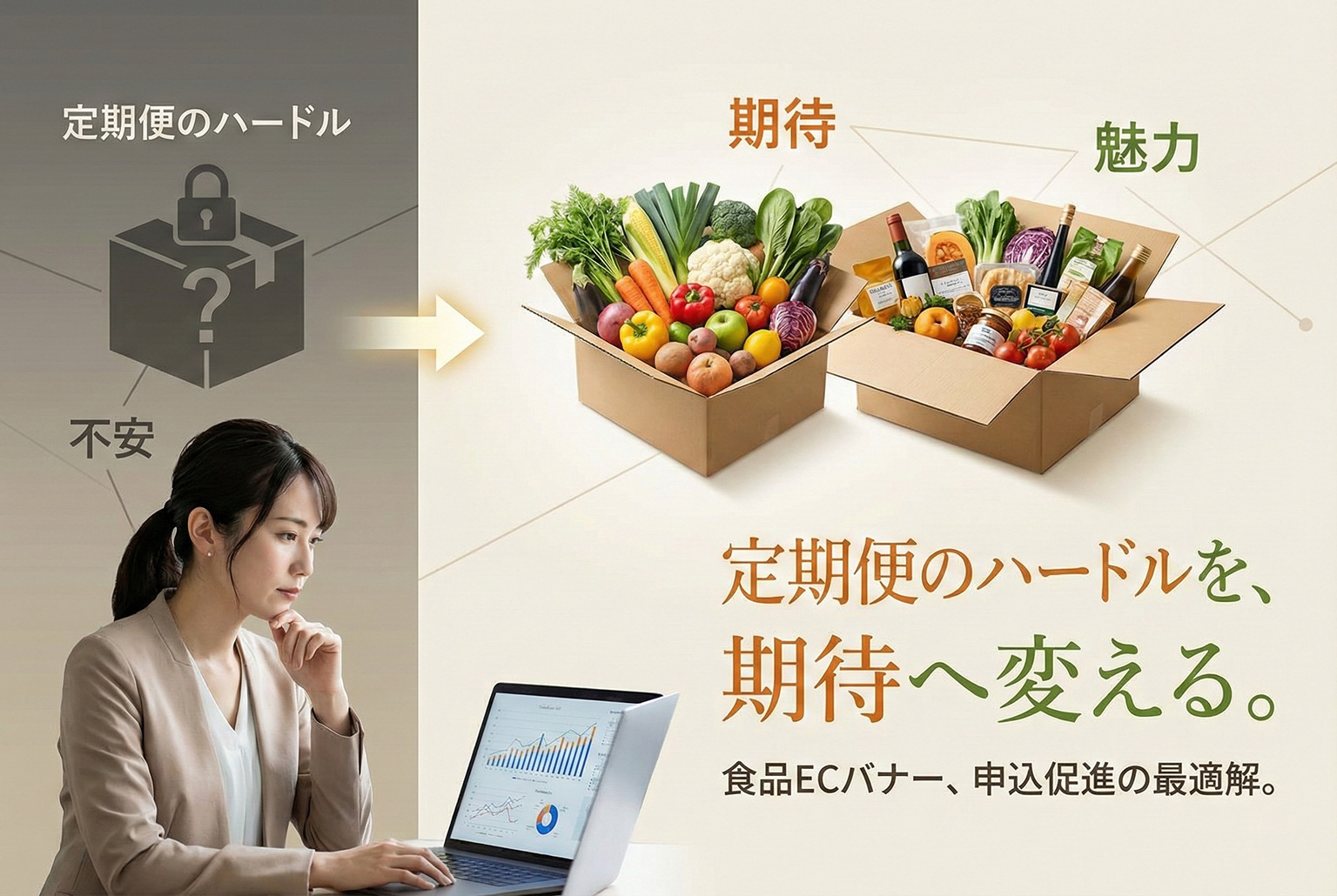 食品ECの定期便申込を促すバナー制作