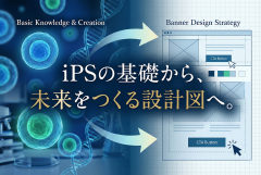 資産運用方針（IPS）の作り方ページへ誘導