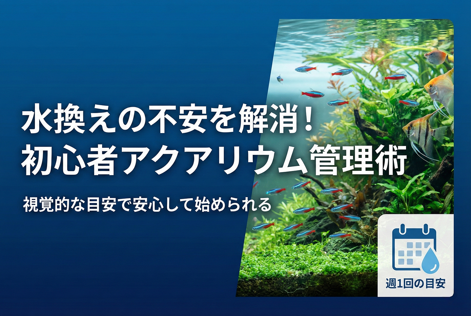 アクアリウム入門セットの水換え目安バナー
